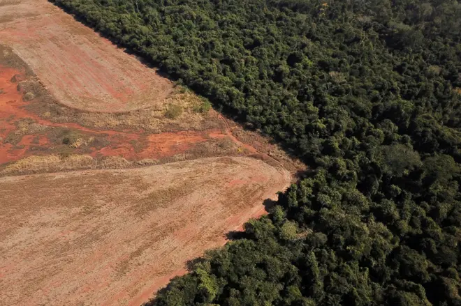 área desmatada da Amazônia