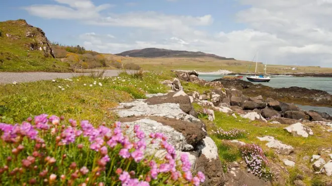 Flores e a paisagem de Eigg