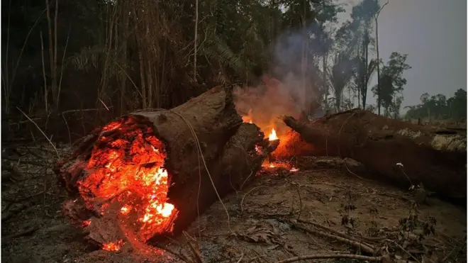 View of fire in the Amazon rainforest, near Abuna, Rondonia state, Brazil, on August 24, 2019