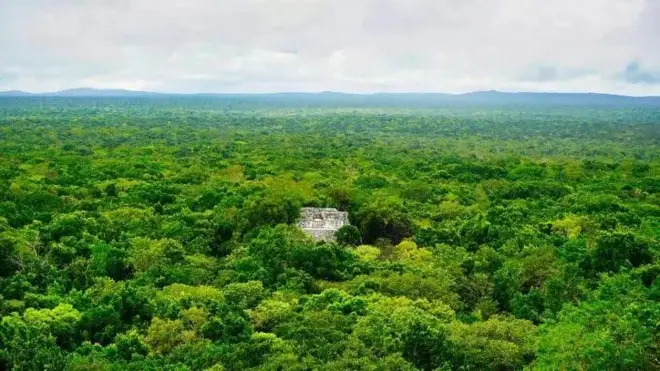  Pirâmide Maia 1 em Calakmul no meio da selva