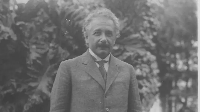 Albert Einstein de terno e gravata com vegetação ao fundo