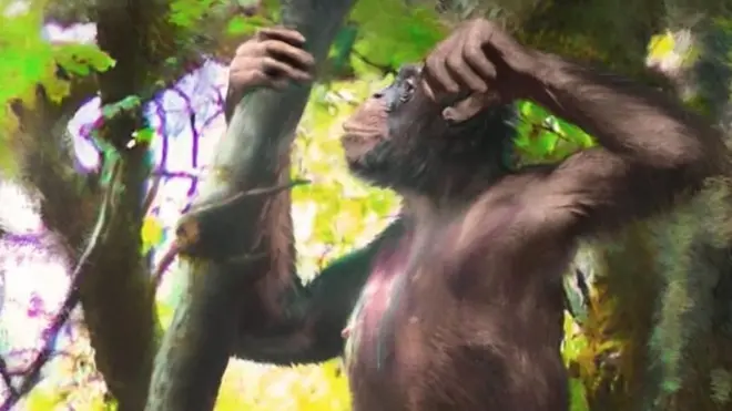 O Danuvius guggenmosi tinha braços similares ao de um bonobo, mas pernas como de hominídeos