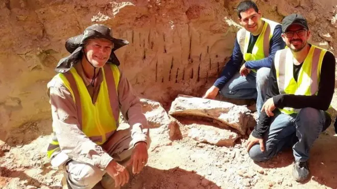 Paleontólogos Nava (esquerda) do Museu de paleontologia de Marília, e Fabiano e Leonardo, do Museu de Paleontologia de Uchoa, durante as escavações dos fósseis do titanossauro