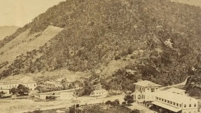 As árvores da mata da Tijuca eram cortadas e usadas para a produção de carvão. Depois davam lugar às plantações. Também havia pastos e plantações de legumes e frutas.