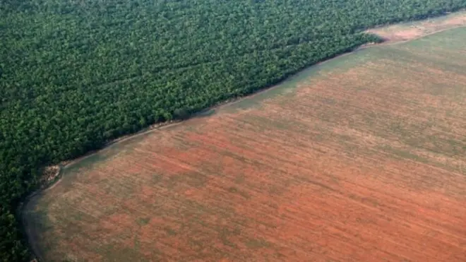 O desmatamento na Amazônia aumentou, em junho, quase 60% em relação ao mesmo mês em 2018. Com isso, a floresta perdeu 762,3 km² de mata nativa no mês passado, o que corresponde a duas vezes a área de Belo Horizonte