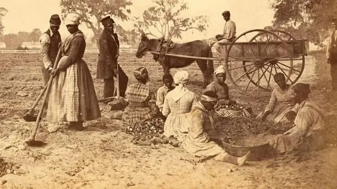 Esclavas trabajando en los campos de batata de la plantación Hopkinson (Carolina del Sur, EE.UU.). Hacia 1862.