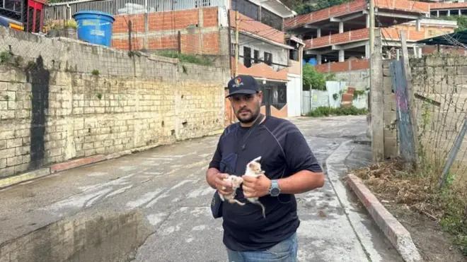 Homem venezuelano segura dois filhotes de gato nas mãos