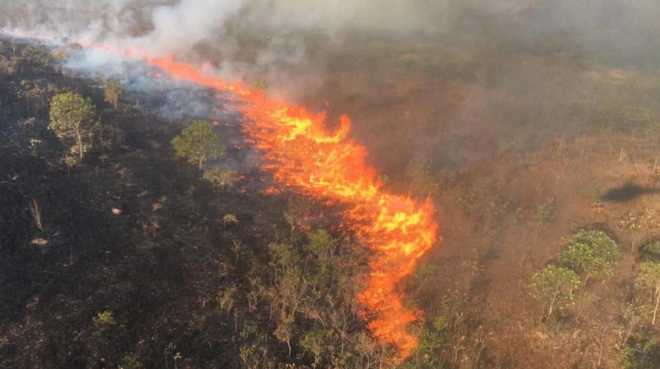 Fogo destruindo vegetação em Parque Nacional 