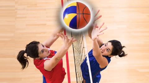 Are you more basketball or volleyball personality quiz