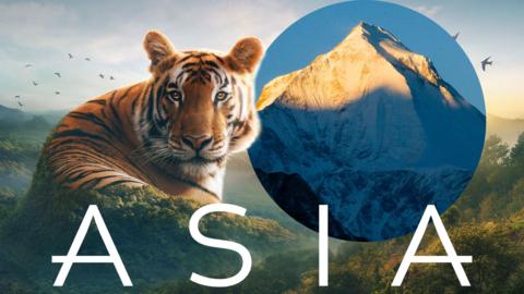 A large tiger blends into the side of a mountain in this edited photo, an image of Mount Everest is circled next to it.