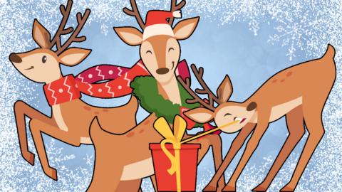 Click to find out your Reindeer name.