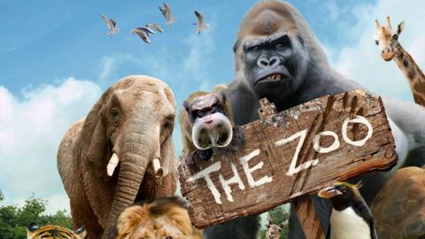 The Zoo logo with an assortment of animals including gorillas, tigers and elephants.