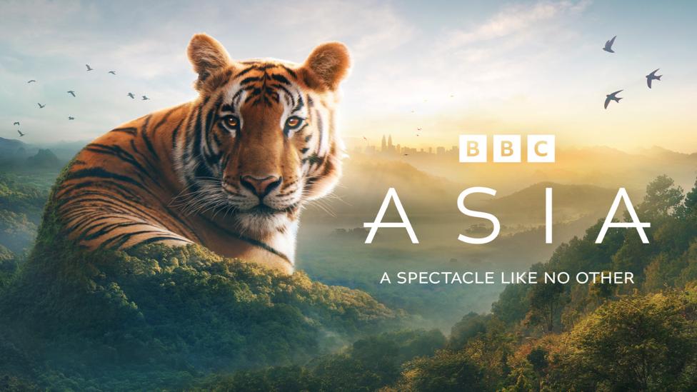 A large tiger blends into a mountain top, it is clever photo editing. A sphere of ocean water is next to it, and the logo says 'Asia'..