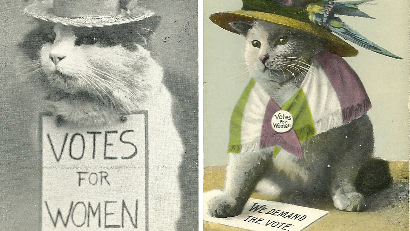 Like modern memes, early cat content was reused and repurposed for different messages (Credit: (left) Lancaster University and (right) The Johns Hopkins University)