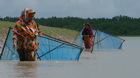 Shabjan Begum fishing in saline water 1