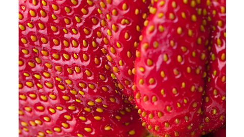 Close up of a strawberry, showing lots of small yellow seeds.