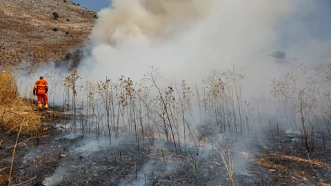 Firefighter fighting bush fire on island of Sicily July 2023 (Credit: Getty Images)