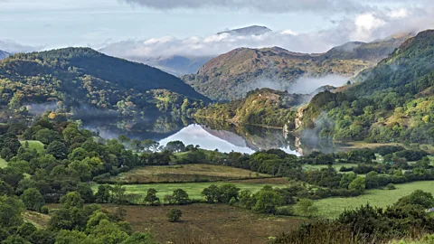 Gwynant Valley in Snowdonia (Credit: Alan Williams/Nature Picture Library)