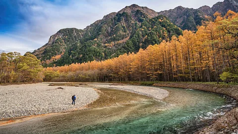 Autumn fall foliage in Kamikochi Japan (Credit: Alamy)