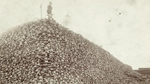 A man poses on a mountain of hundreds of bison skulls (Credit: Detroit Public Library)