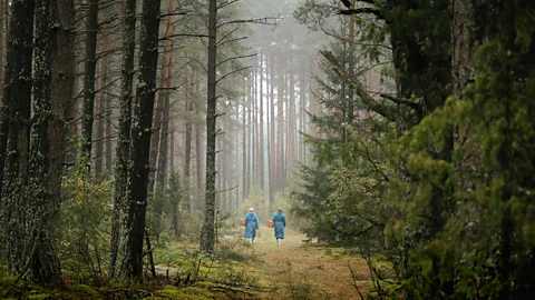 Two people walking with baskets in Dzūkija National Park, Lithuania (Credit: Harry Taylor)