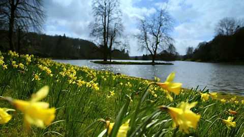 How spring affects plants and animals