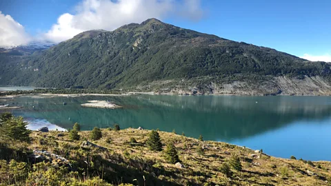 James Clark Set in the Strait of Magellan, Ainsworth Bay is marked by a long fjord and surrounded by a sub-polar forest (Credit: James Clark)