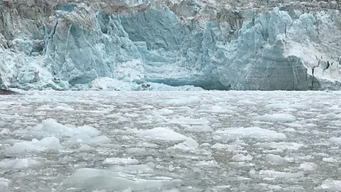 James Clark Floating ice sheets surround Pia Glacier in the Strait of Magellan (Credit: James Clark)