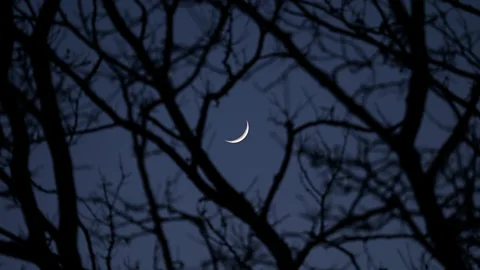 Getty Images Ancient philosophers believed that the Moon caused maddness and is the origin of the word "lunacy" (Credit: Getty Images)