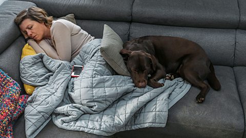 A woman sleeps on the sofa under a blanket with dog curled up by her feet 