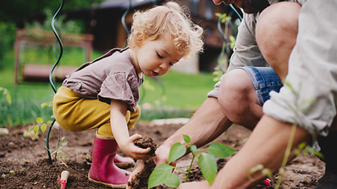 What kids can learn by looking after plants