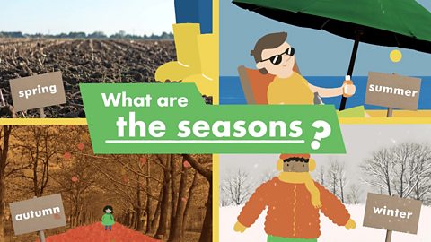 What are the seasons?