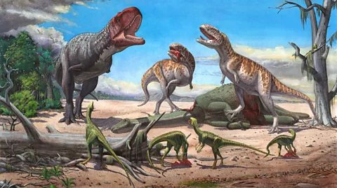 Alamy Rajasaurus is thought to have been an ambush predator, and had a single horn on its head which may have been used as a mating display (Credit: Alamy)