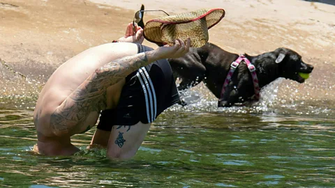 Getty Images Dogs and residents enjoy water at Barton Creek Pool Austin Texas (Credit: Getty Images)