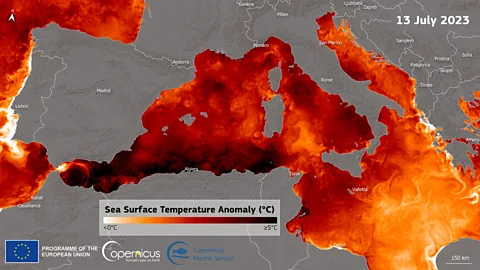 European Union/Copernicus The northern Atlantic Ocean and Mediterranean Sea have experienced record-breaking sea temperatures over the past few months (Credit: European Union/Copernicus)