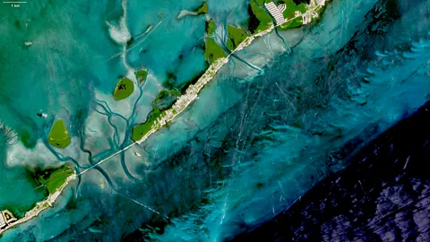 European Union/Copernicus Sentinel-2 Satellite image of coral bleaching at Islamorada, Florida (Credit: European Union/Copernicus Sentinel-2)