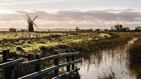 Tom Barrett Carey Davies describes the Broads as "England's version of the Everglades" (Credit: Tom Barrett)