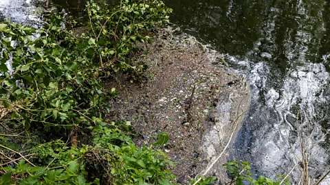 Getty Images The high levels of sewage pollution and other contaminants can result in "sewage fungus" in rivers (Credit: Getty Images)