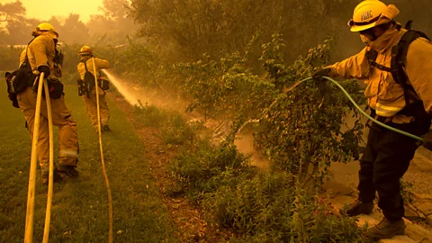 Kari Greer Three firefighters spray water onto brush amidst a haze (Credit: Kari Greer)