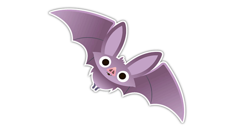 A bat