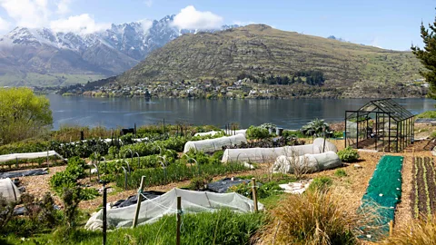 Sherwood Queenstown Sherwood Queenstown now produces more than 40% of its food needs on site (Credit: Sherwood Queenstown)