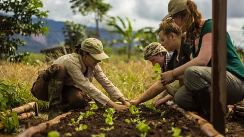 CREES Guests at CREES get to witness conservation efforts first hand and participate in projects (Credit: CREES)