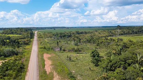 Alamy Many Indigenous groups could be directly threatened by a redeveloped BR-319 if illegal land-grabbing should follow (Credit: Alamy)