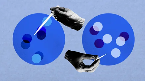 Serenity Strull/ BBC Hands holding pipettes over abstract circles that represent eggs in petre dishes (Credit: Serenity Strull/ BBC)