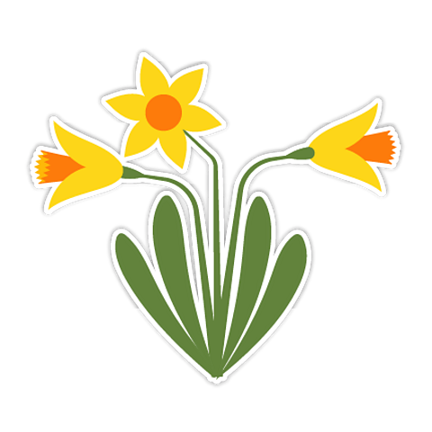 A bunch of daffodils