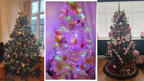 Three Christmas trees, one with gold and red baubles, one white tree with colourful baubles, and a tree with candy cane decorations.