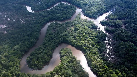 Getty Images As climate change warms the Amazon basin, the rainforest may become drier, like the areas bordering the Boiling River (Credit: Getty Images)