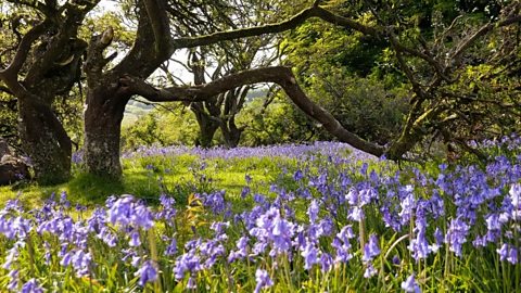 The spring equinox