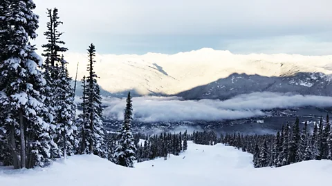 Alamy In a winter paradise full of incredible ski runs, Douglas heads to the 1,529m descent of Peak the Creek; one of Whistler's best signature ski runs (Credit: Alamy)