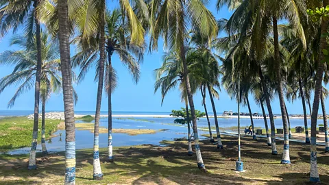 Catherine Ellis Riohacha, and the stories García Márquez heard about his family's past there, inspired much of the novel (Credit: Catherine Ellis)